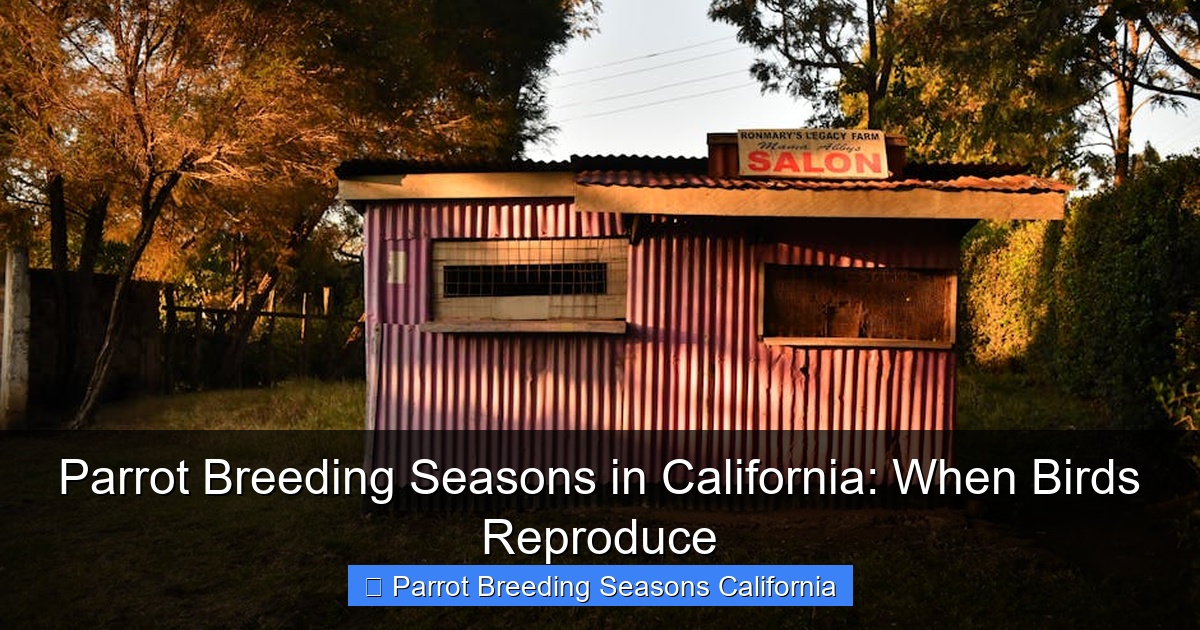 Parrot Breeding Seasons in California: When Birds Reproduce