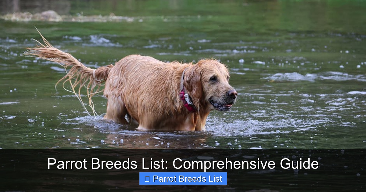 Featured image for Parrot Breeds List: Comprehensive Guide