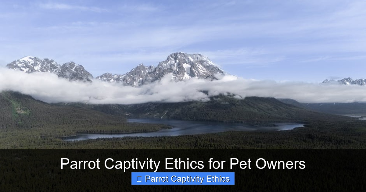 Featured image for Parrot Captivity Ethics for Pet Owners