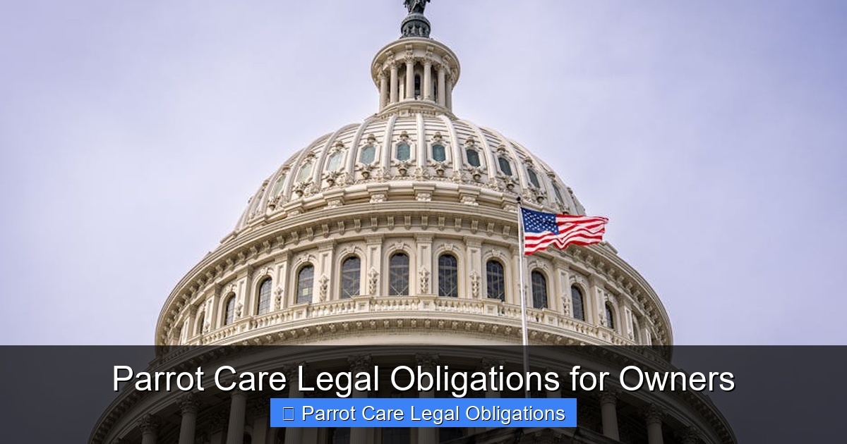 Featured image for Parrot Care Legal Obligations for Owners