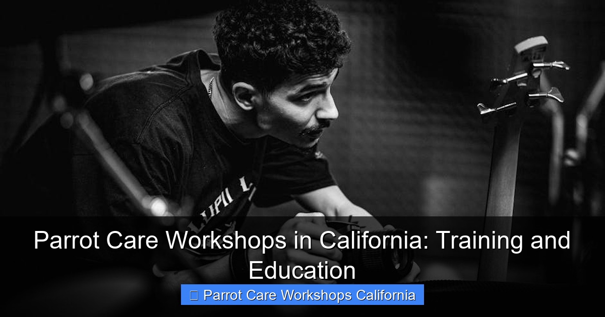 Parrot Care Workshops in California: Training and Education