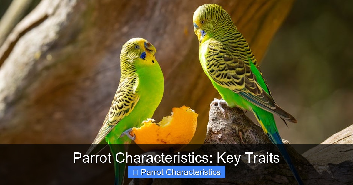 Featured image for Parrot Characteristics: Key Traits