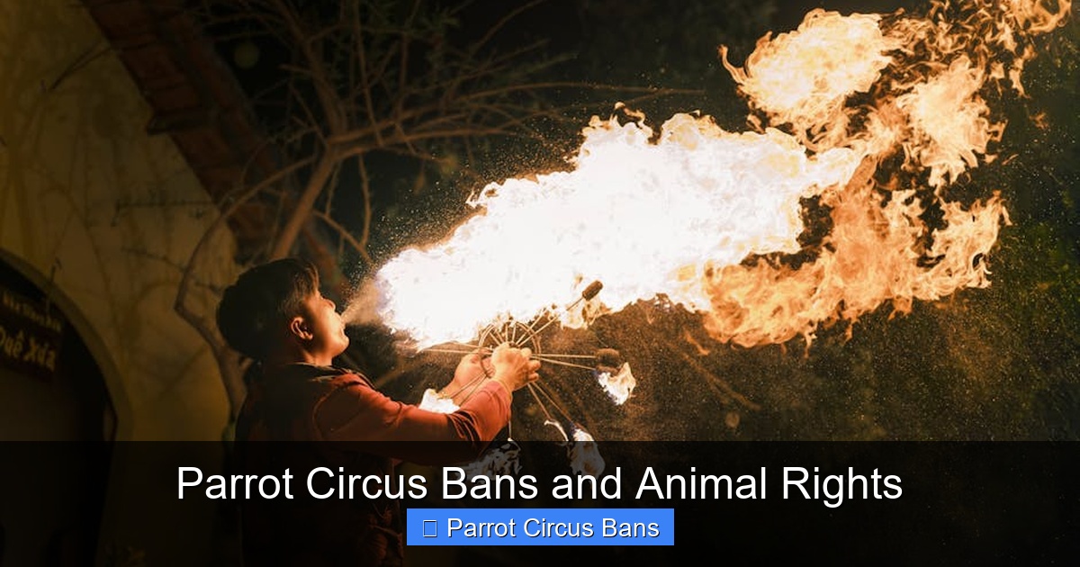 Featured image for Parrot Circus Bans and Animal Rights