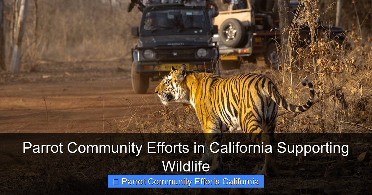 Featured image for Parrot Community Efforts in California Supporting Wildlife