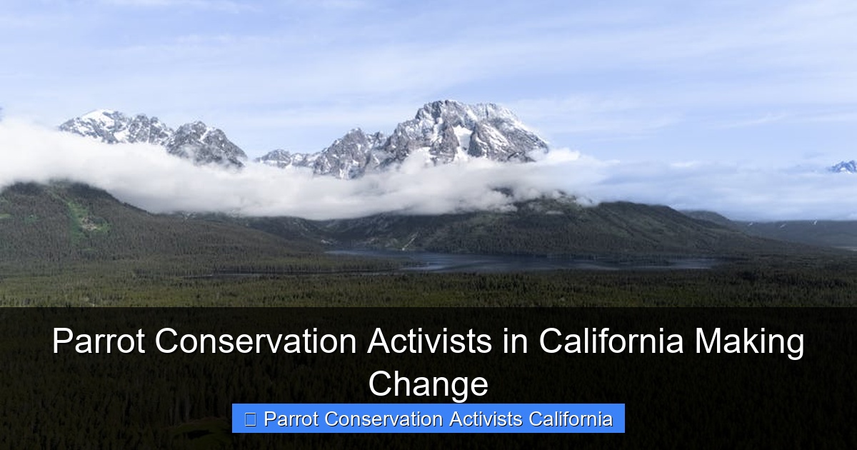 Featured image for Parrot Conservation Activists in California Making Change