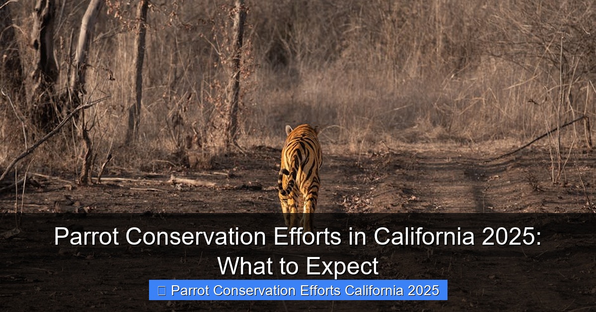 Featured image for Parrot Conservation Efforts in California 2025: What to Expect
