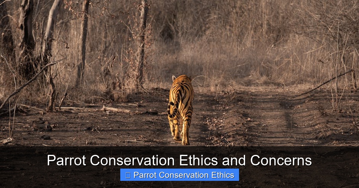 Featured image for Parrot Conservation Ethics and Concerns