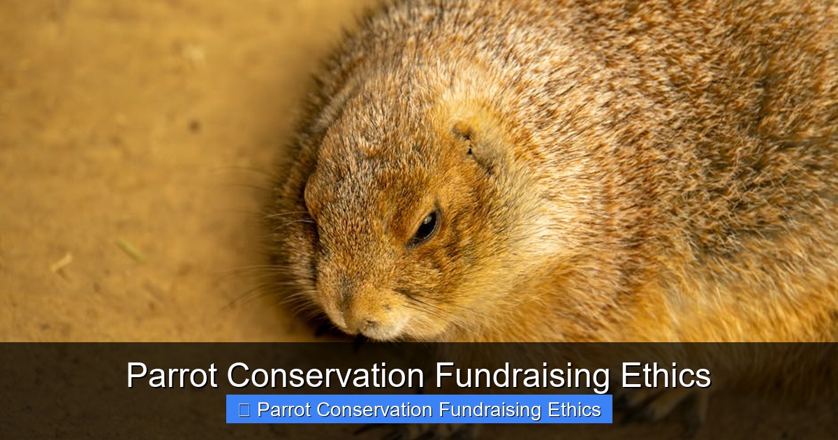 Featured image for Parrot Conservation Fundraising Ethics
