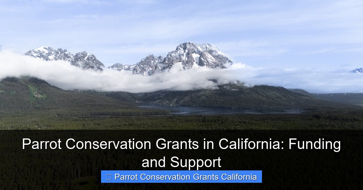 Parrot Conservation Grants in California: Funding and Support