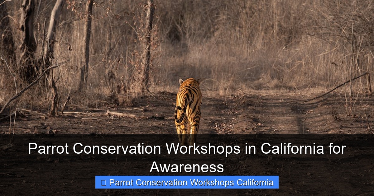 Featured image for Parrot Conservation Workshops in California for Awareness