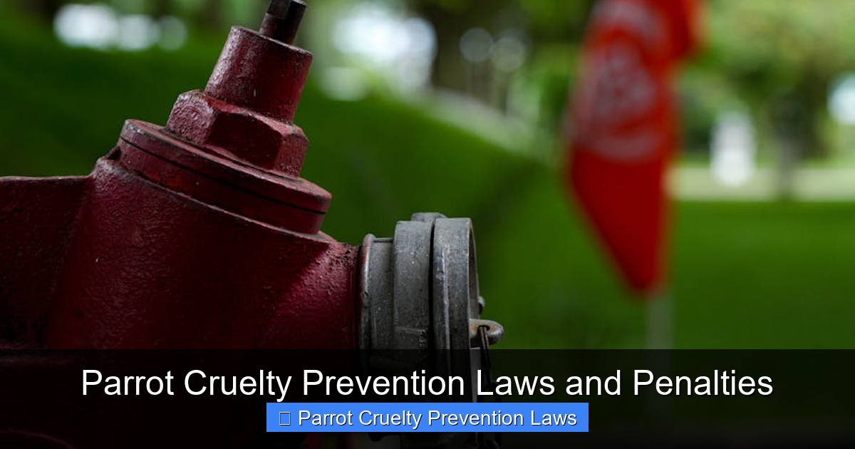 Featured image for Parrot Cruelty Prevention Laws and Penalties