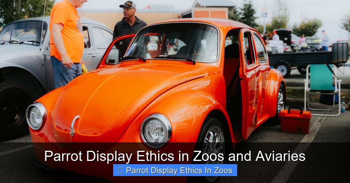 Featured image for Parrot Display Ethics in Zoos and Aviaries