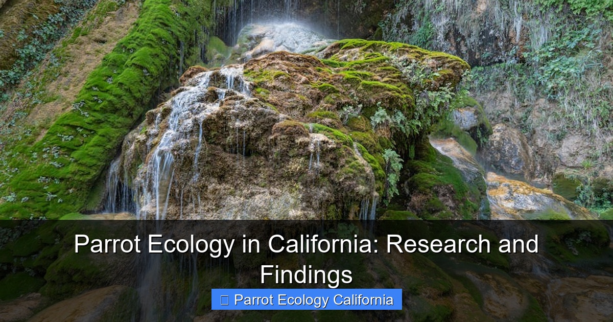 Featured image for Parrot Ecology in California: Research and Findings