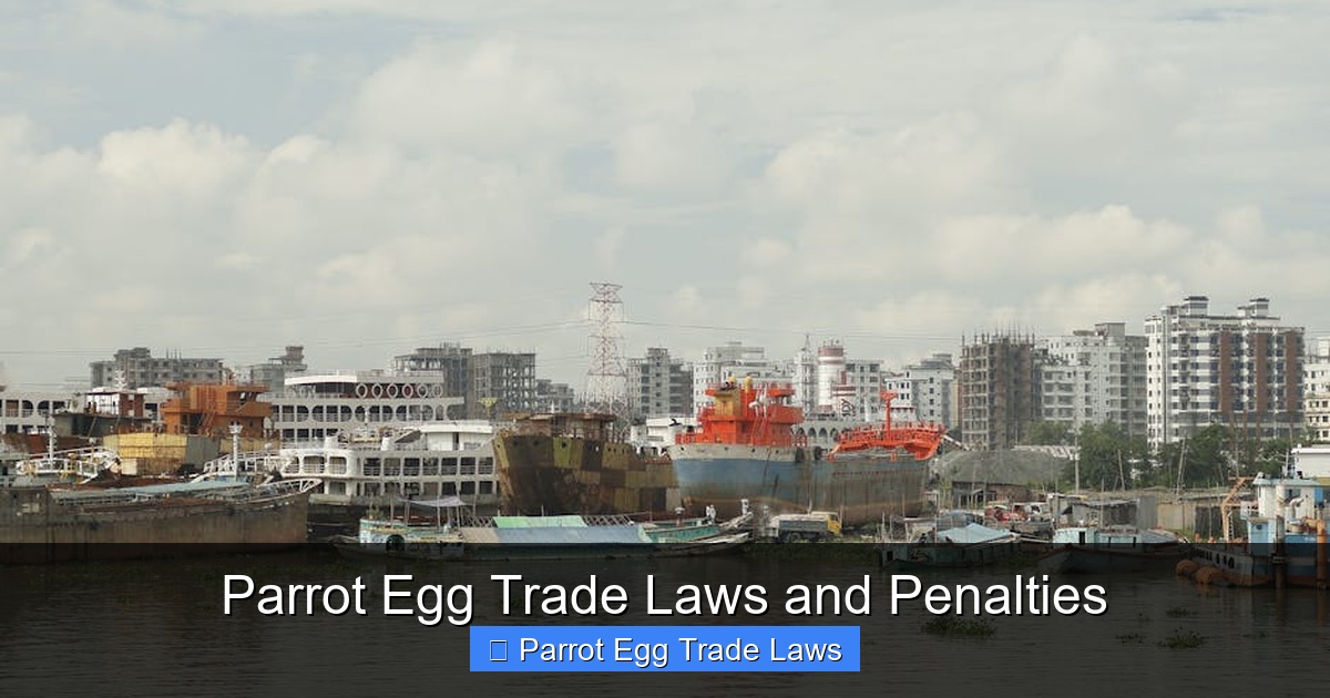 Featured image for Parrot Egg Trade Laws and Penalties