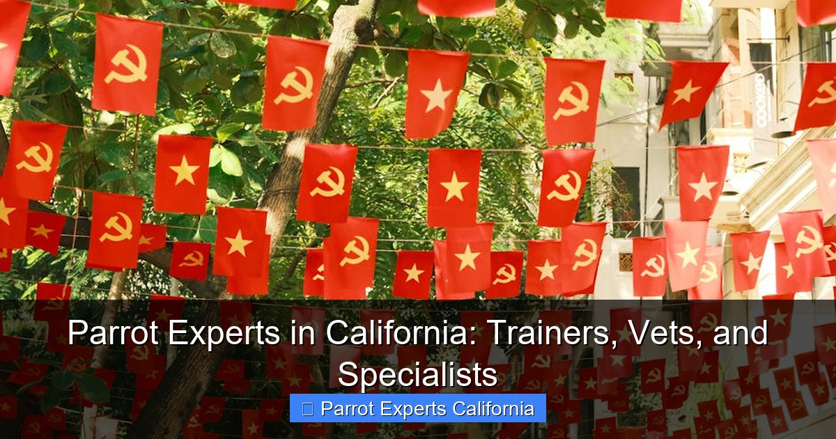 Parrot Experts in California: Trainers, Vets, and Specialists