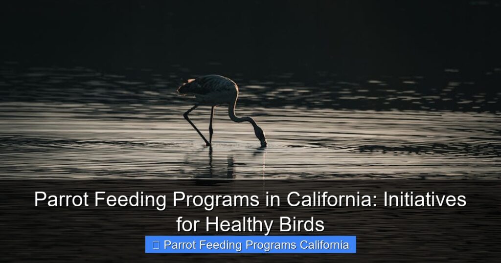 Parrot Feeding Programs in California: Initiatives for Healthy Birds ...
