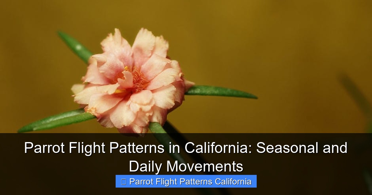 Parrot Flight Patterns in California: Seasonal and Daily Movements