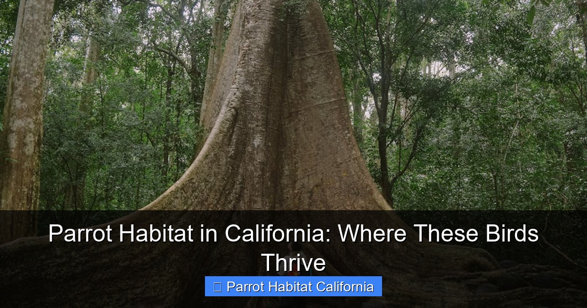 Parrot Habitat in California: Where These Birds Thrive