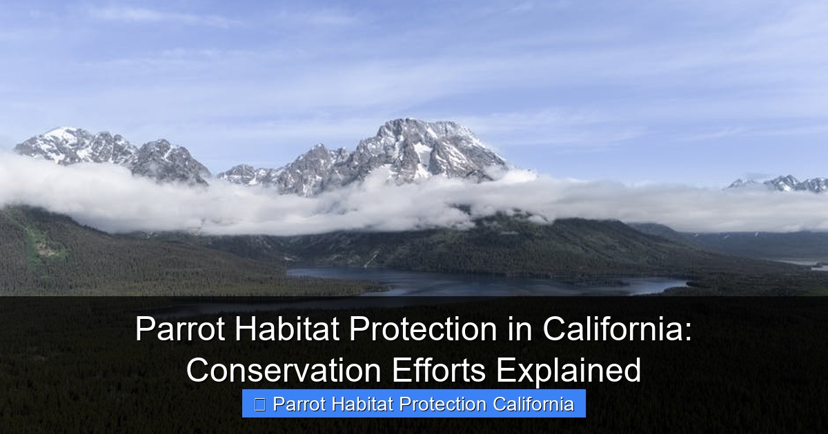 Parrot Habitat Protection in California: Conservation Efforts Explained