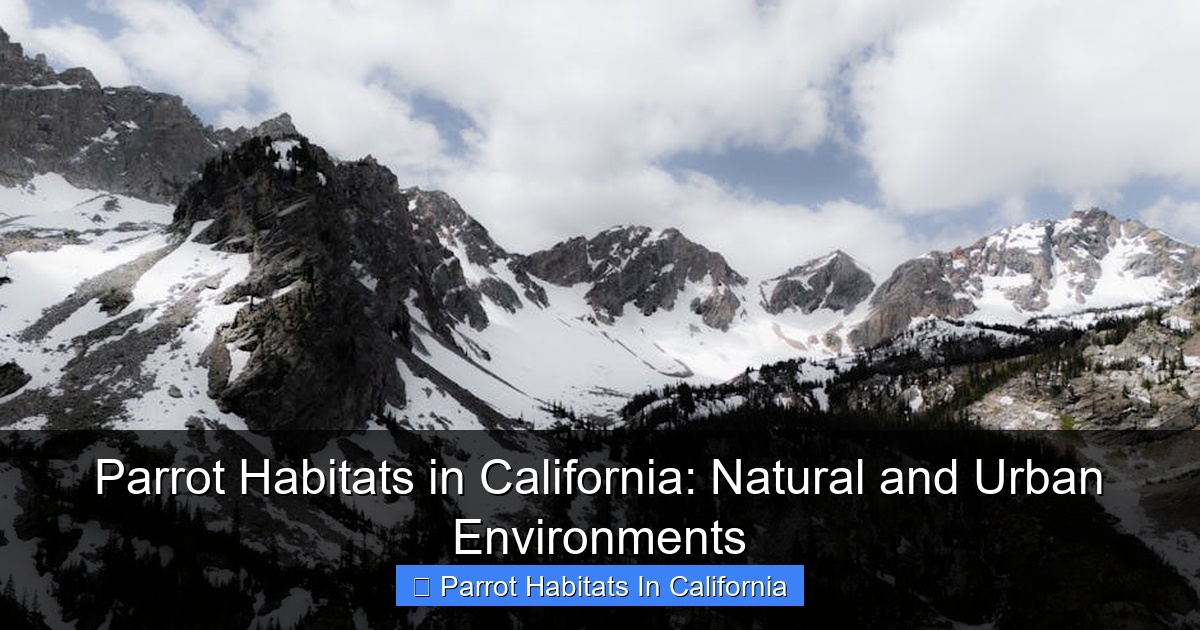 Featured image for Parrot Habitats in California: Natural and Urban Environments