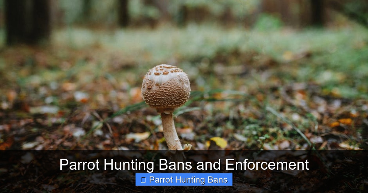 Featured image for Parrot Hunting Bans and Enforcement