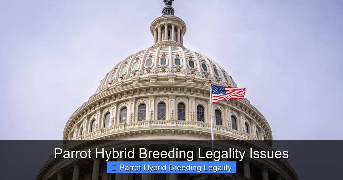 Featured image for Parrot Hybrid Breeding Legality Issues
