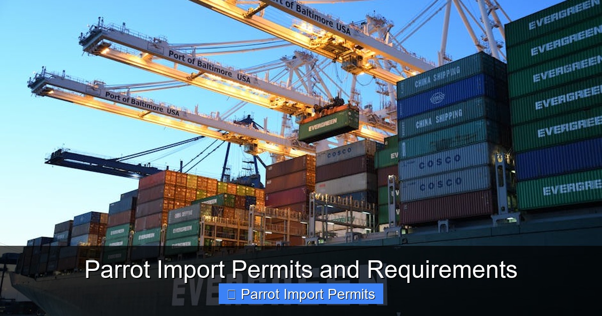 Featured image for Parrot Import Permits and Requirements