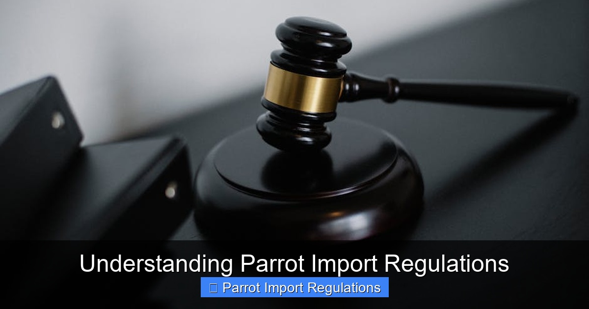 Featured image for Understanding Parrot Import Regulations