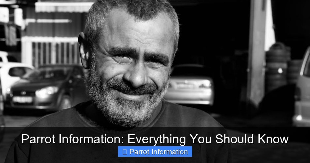 Featured image for Parrot Information: Everything You Should Know
