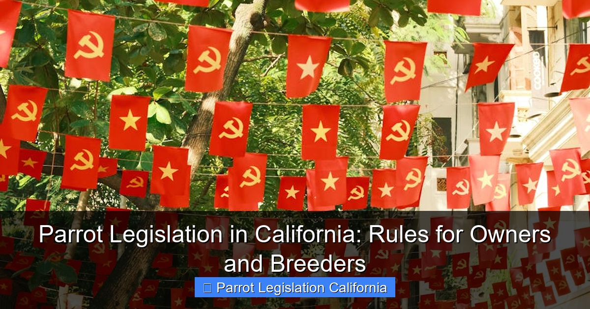 Parrot Legislation in California: Rules for Owners and Breeders