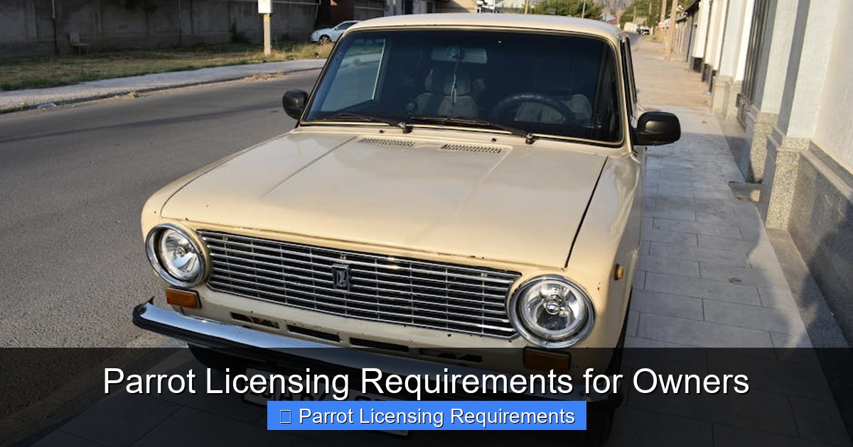 Featured image for Parrot Licensing Requirements for Owners