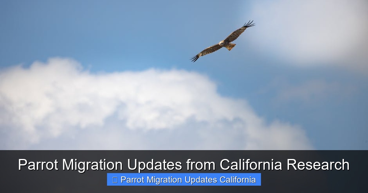 Featured image for Parrot Migration Updates from California Research