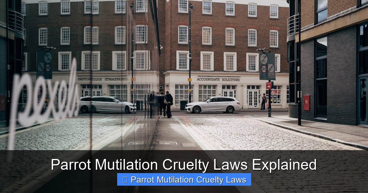 Featured image for Parrot Mutilation Cruelty Laws Explained