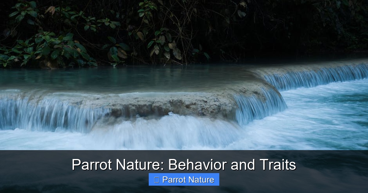 Featured image for Parrot Nature: Behavior and Traits