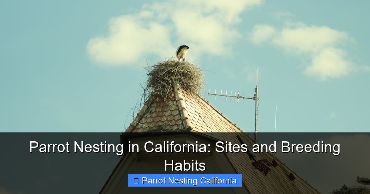 Parrot Nesting in California: Sites and Breeding Habits