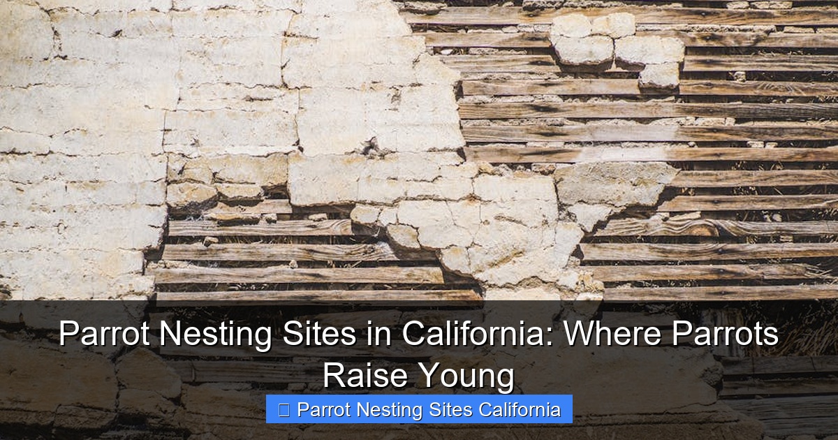 Parrot Nesting Sites in California: Where Parrots Raise Young