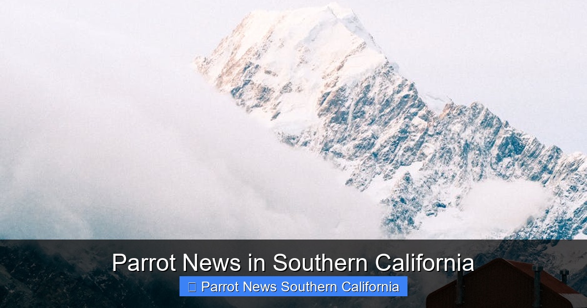 Featured image for Parrot News in Southern California