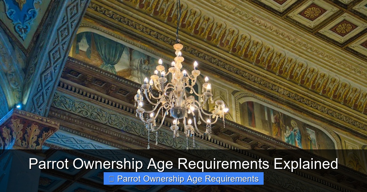 Featured image for Parrot Ownership Age Requirements Explained