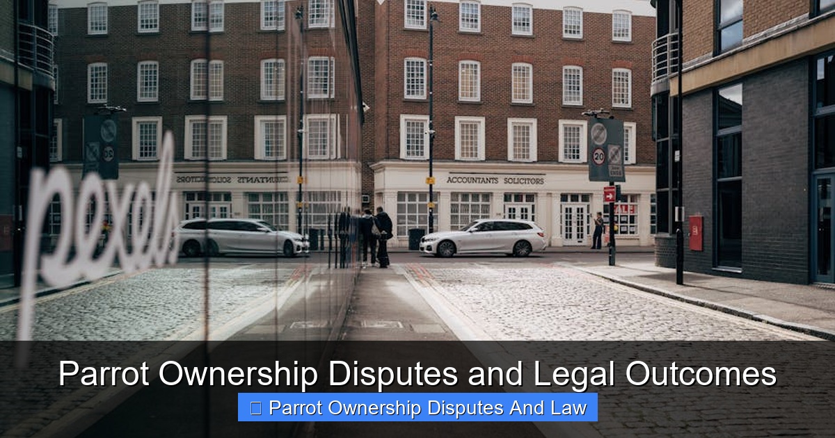 Featured image for Parrot Ownership Disputes and Legal Outcomes