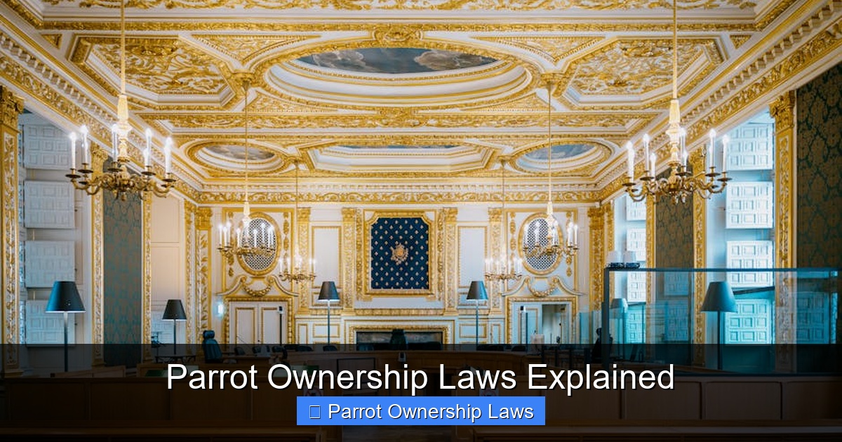 Featured image for Parrot Ownership Laws Explained
