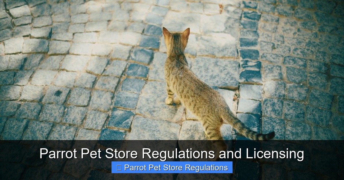 Featured image for Parrot Pet Store Regulations and Licensing