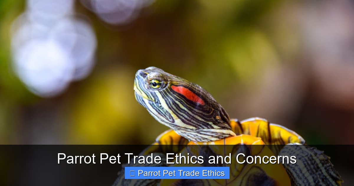 Featured image for Parrot Pet Trade Ethics and Concerns