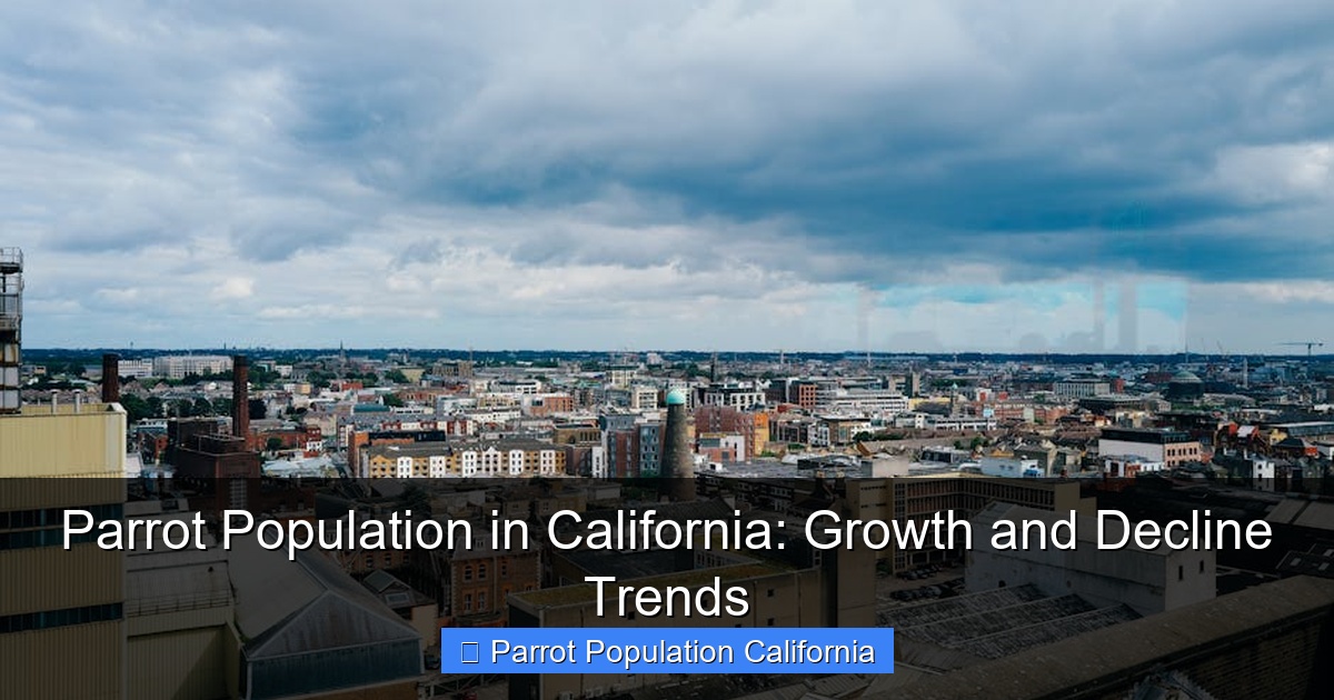 Parrot Population in California: Growth and Decline Trends