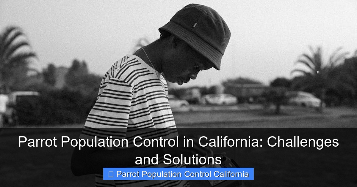 Featured image for Parrot Population Control in California: Challenges and Solutions