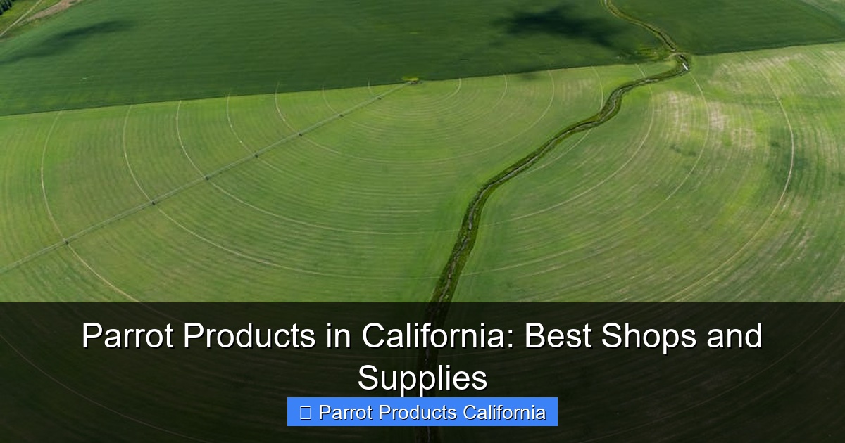 Parrot Products in California: Best Shops and Supplies