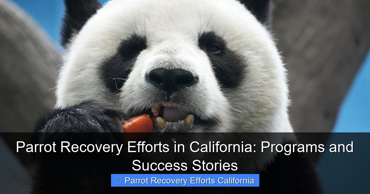 Parrot Recovery Efforts in California: Programs and Success Stories