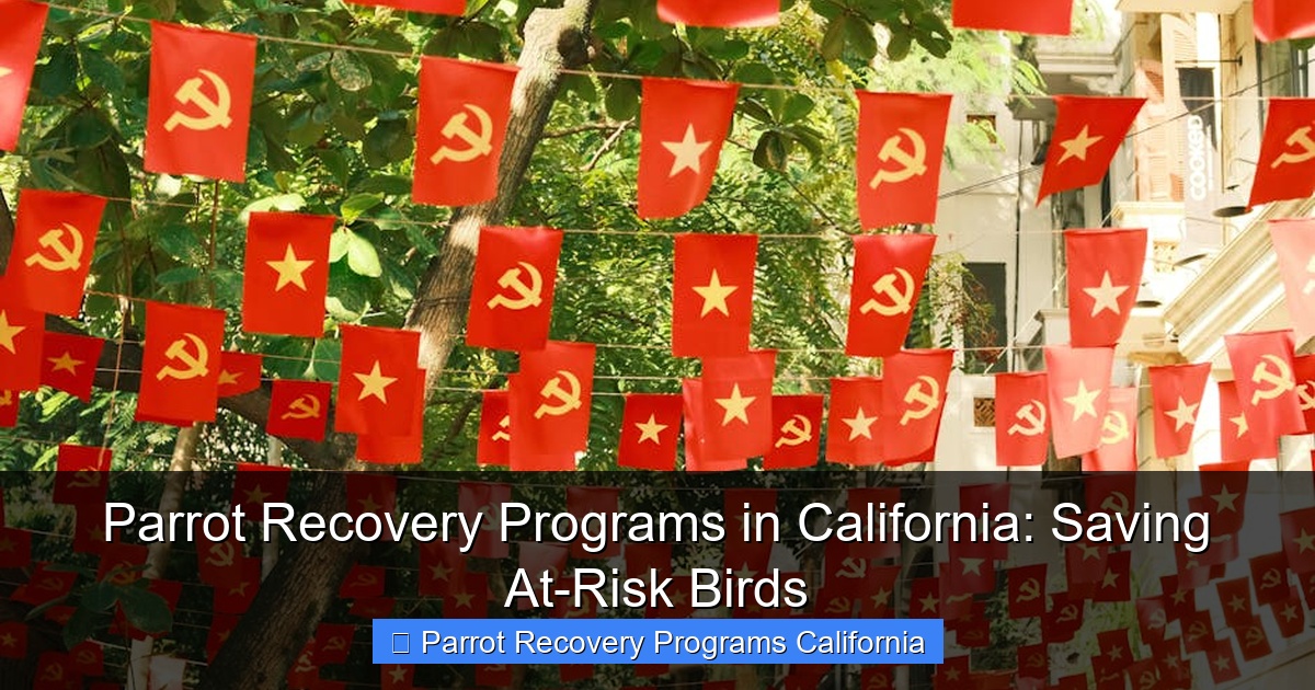 Parrot Recovery Programs in California: Saving At-Risk Birds