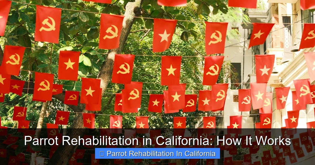 Featured image for Parrot Rehabilitation in California: How It Works
