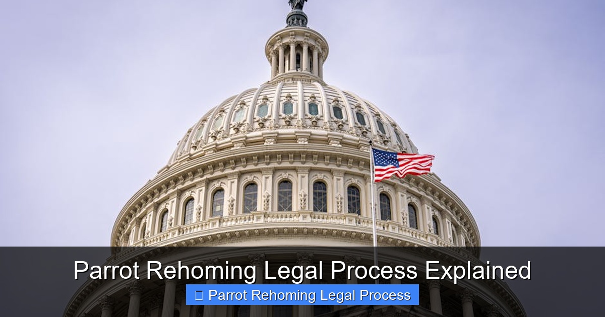 Featured image for Parrot Rehoming Legal Process Explained