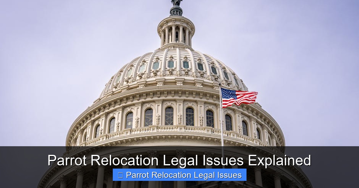 Featured image for Parrot Relocation Legal Issues Explained